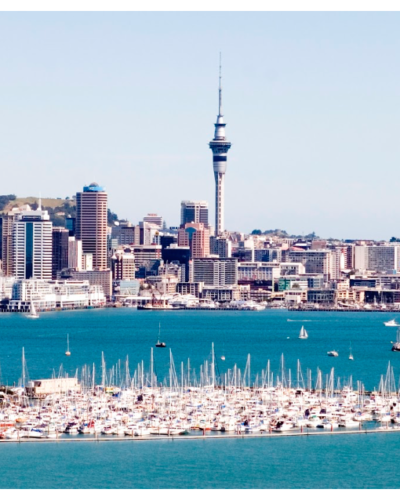 A Guide to Serviced Offices in Auckland