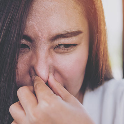 Professional odor removal