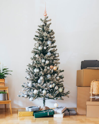 Moving This new Year? Top Winter Moving Tips!